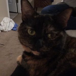 Meet your Posher, Sherry